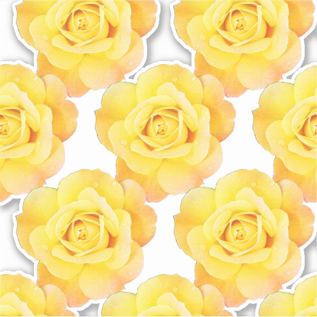 Pegatina Rosa Naranja amarillo Patrones Flores Florales Jar (Anverso)