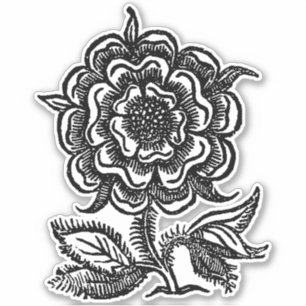 Pegatina Rosa Renacimiento