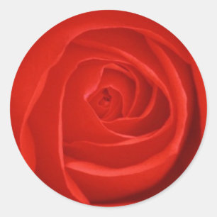 Pegatina Rosa Roja