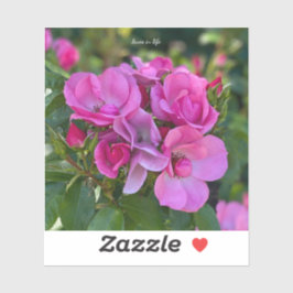 Pegatina Rosa rosa de lavanda