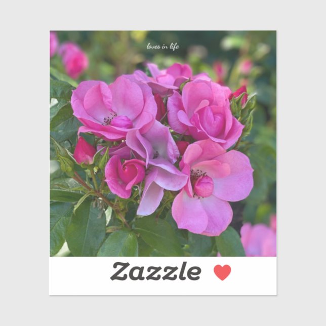 Pegatina Rosa rosa de lavanda (Hoja)