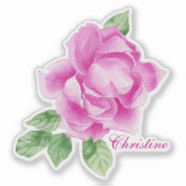 Pegatina Rosa rosa rosa color de agua pintado a mano vibran