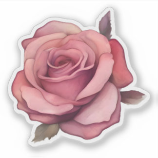 Pegatina Rosa rosa rubor