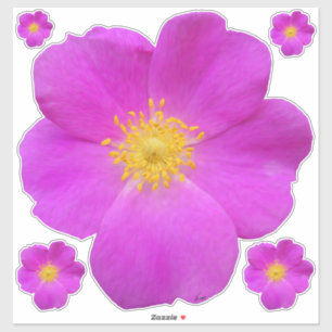 Pegatina Rosa salvaje 2