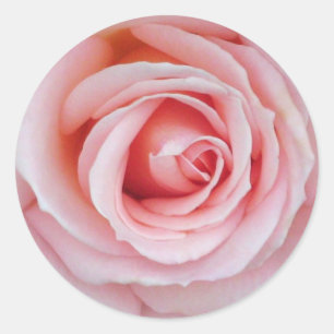Pegatina rosa suave