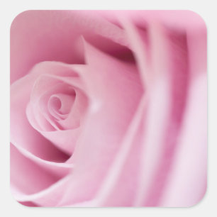 Pegatina rosa y Sello para sobres