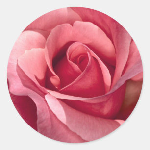 Pegatina rosa y Sello para sobres
