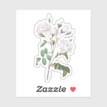 Rosas blancas vintage