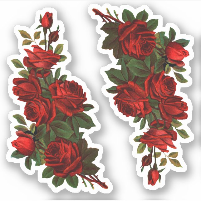 Pegatina Rosas del Día de San Jorge (Anverso)