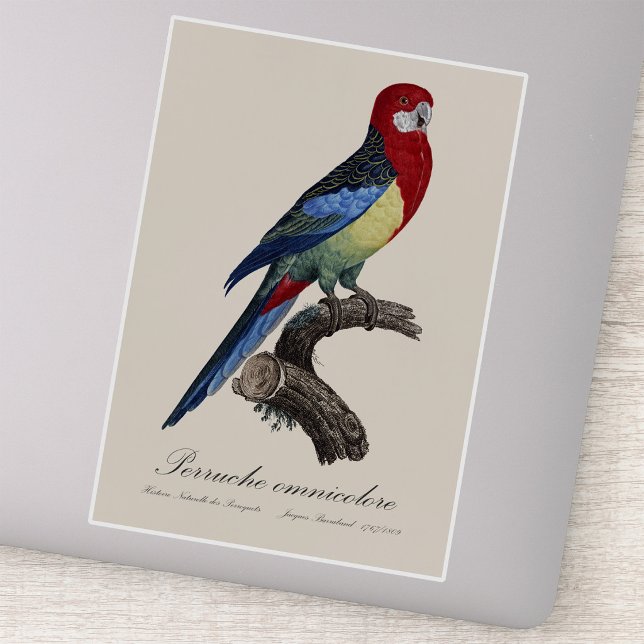 Pegatina rosella oriental o perico Platycercus eximius (Eastern rosella or Platycercus eximius parakeet. Sticker)