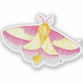 Pegatina Rosy Maple Moth