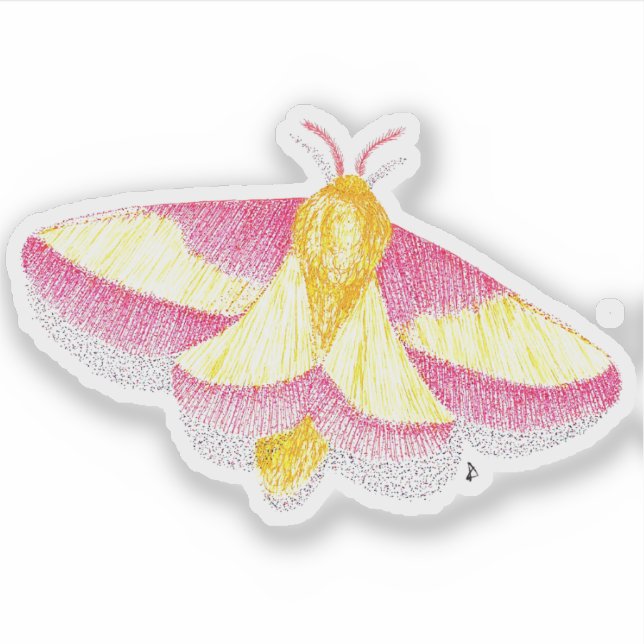 Pegatina Rosy Maple Moth (Anverso)