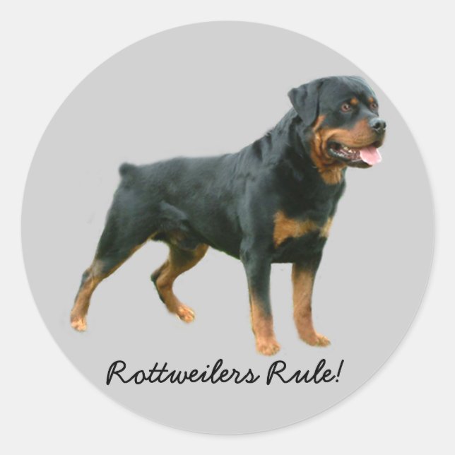 Pegatina Rottweiler (Anverso)