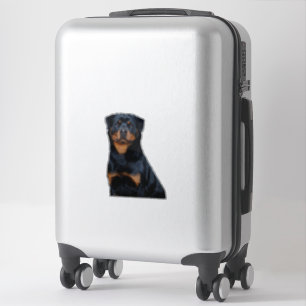Pegatina Rottweiler