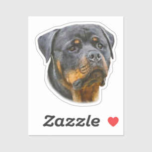 Pegatina Rottweiler acuarela
