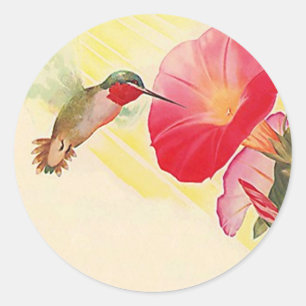 Pegatina Ruby Throated Hummingbird