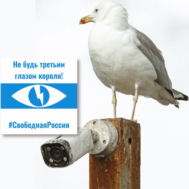 Pegatina Rusia Libre Democrática Rusa - Tercer Ojo (Russia Free Democratic Russian - Third Eye Sticker by The Social Observatory Shop)