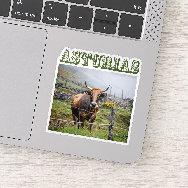 Pegatina Rustic mountain cow, Asturias, Spain travel (Detalle)