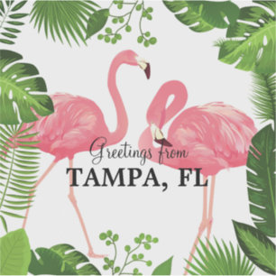 Pegatina Saludos desde Tampa, Florida