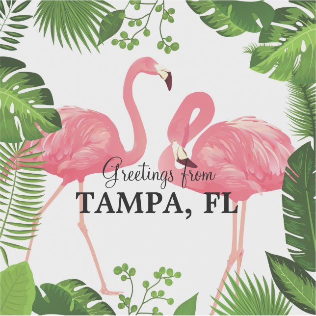 Pegatina Saludos desde Tampa, Florida (Anverso)