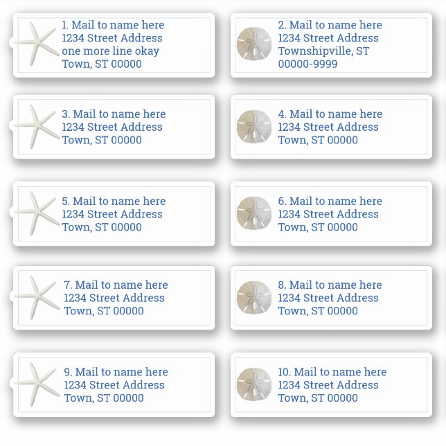 Pegatina Sand Dollar Sea Stars White Individual Mailing (Anverso)