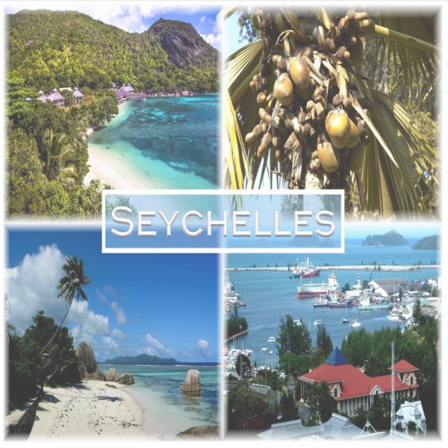 Pegatina SC Seychelles - Beach Resort - Lodoicea Maldivica (Anverso)