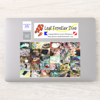 Pegatina 【Sea Slug cometió el error de tu libro de buceo!