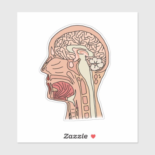 Pegatina Sección transversal cerebral midsagital (Hoja)