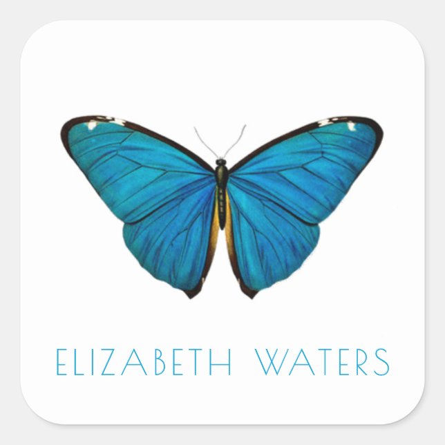 PEGATINA sello para sobres : MARIPOSA AZUL (Anverso)