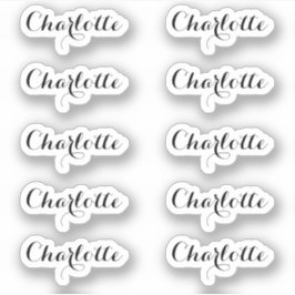 Pegatina Set de 10 | Nombre de guión pequeño elegante