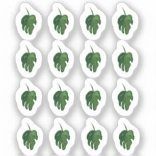 Pegatina Set de Stickers de Hoja de Monstera Acuarela Verde