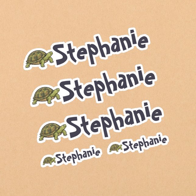 Pegatina Set of 5 Cute Turtle Name Stickers (Set of five turtle name stickers.)