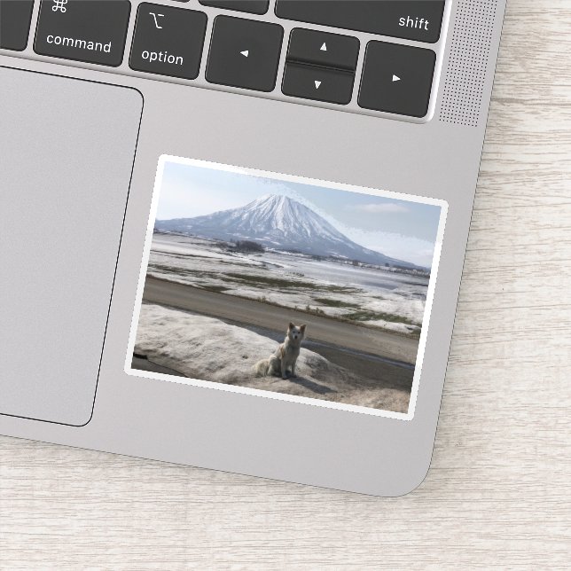 Pegatina Shiba Inu (Detalle)