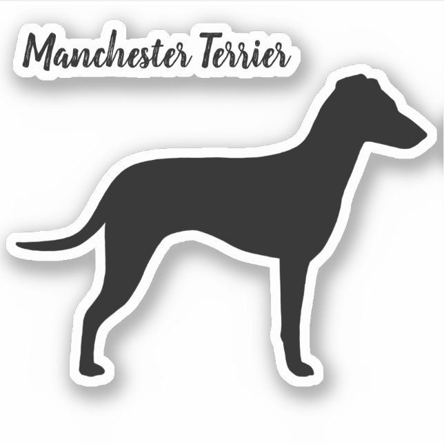 Pegatina Silhouette de Manchester Terrier con Oídos Natural (Anverso)