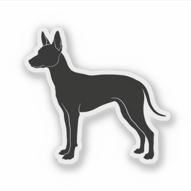 Pegatina Silueta de Xoloitzcuintli (Anverso)