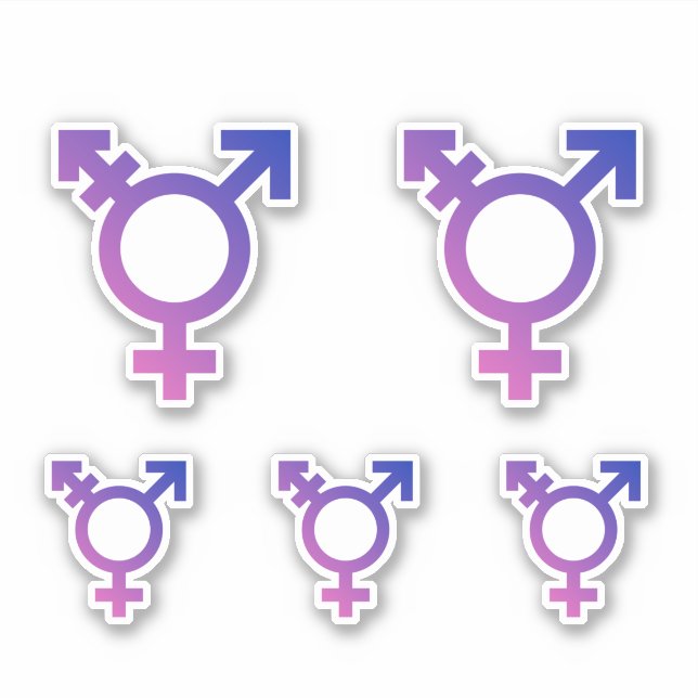 Pegatina Símbolo de orgullo trans (Anverso)