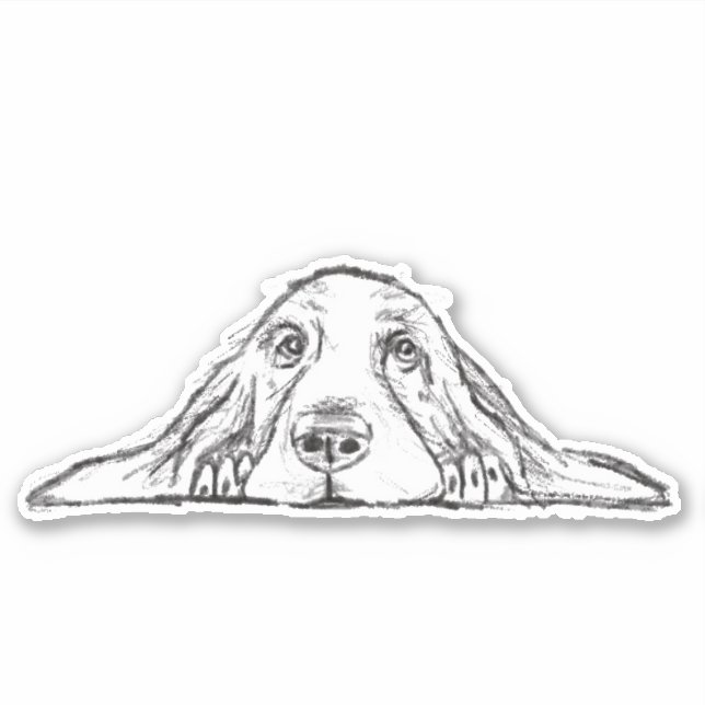 Pegatina simple en blanco y negro de basset hound  (Anverso)