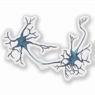 Pegatina Sinapsis entre neuronas, neuronas neurocientíficas