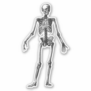 Pegatina Skeleton