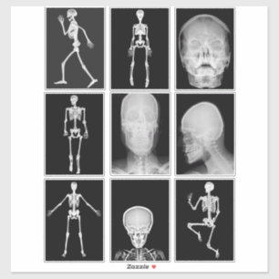 Pegatina skeleton Skull Human Body XRAYS Collage sheet art