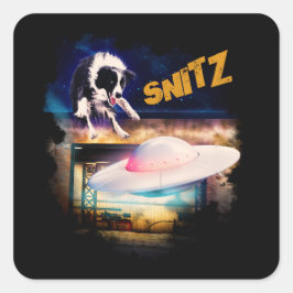 pegatina Snitz de la reparación de Bob's Saucer