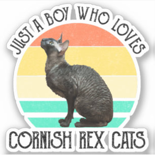 Pegatina Solo un chico que ama los gatos Cornish Rex