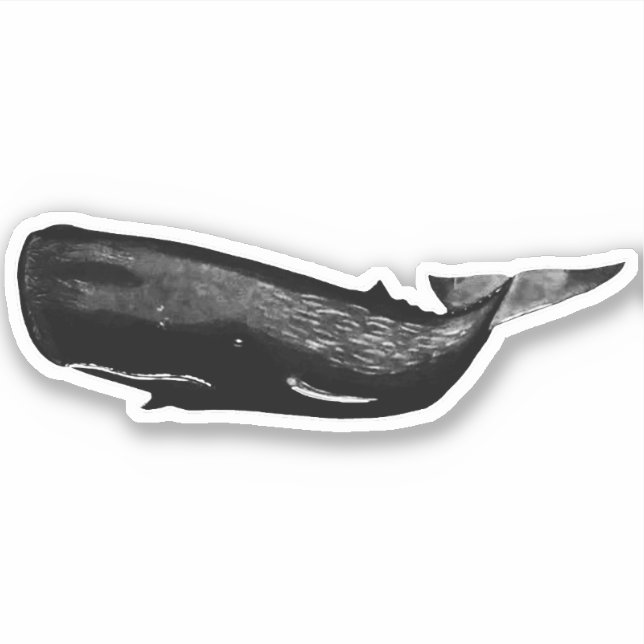 PEGATINA SPERM WHALE (Anverso)