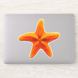 Pegatina Starfish