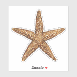 Pegatina Starfish - Estrella del mar