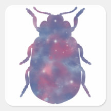Pegatina Starscape Light Beetle