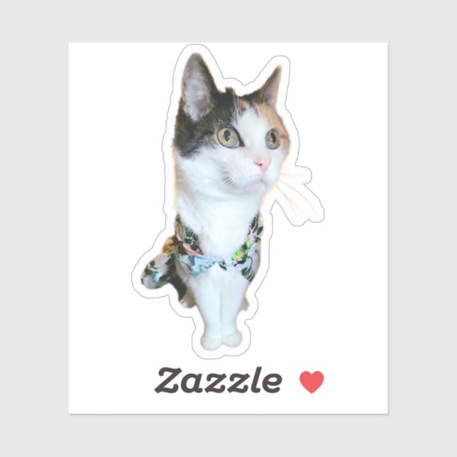 Pegatina Stylish Cat Funny Sticker (Hoja)