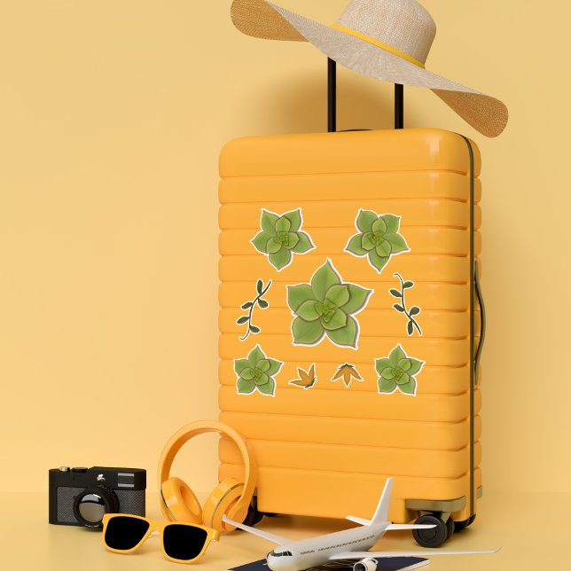 Pegatina Suculenta Echeveria Verde Moderna (Subido por el creador)