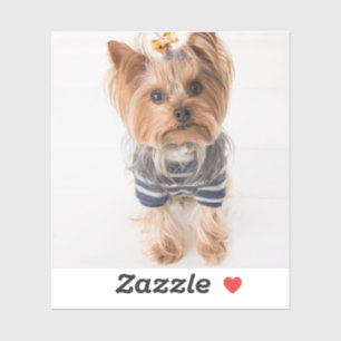 Pegatina suéter yorkie