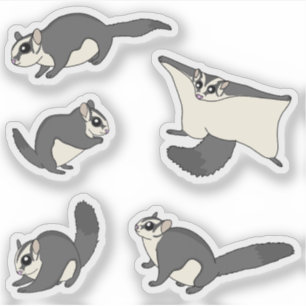 Pegatina Sugar Gliers